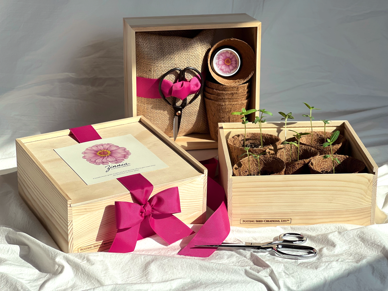 NEW Culinary Herb Garden Box | Holiday Gift for Gardeners
