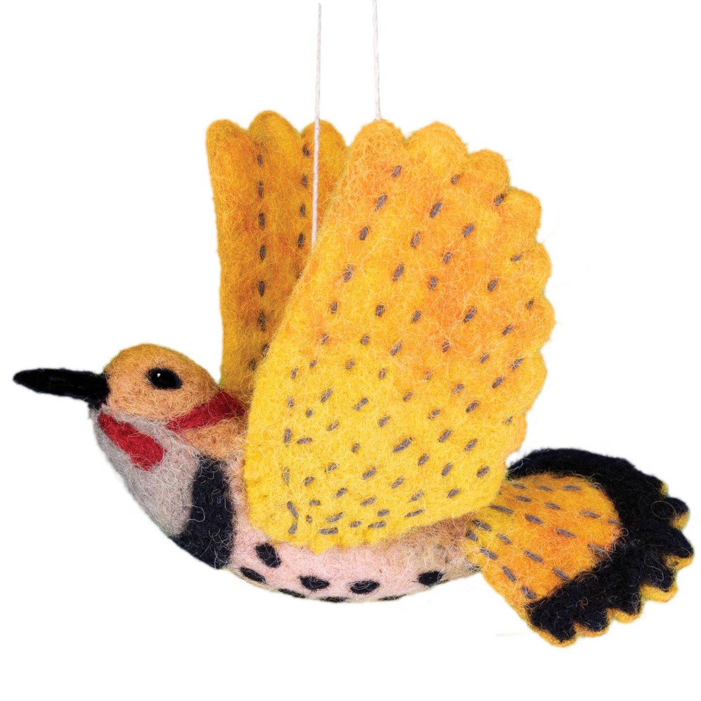 Northern Flicker Woolie Bird