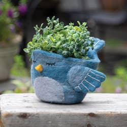 Bluebird Felt Pot
