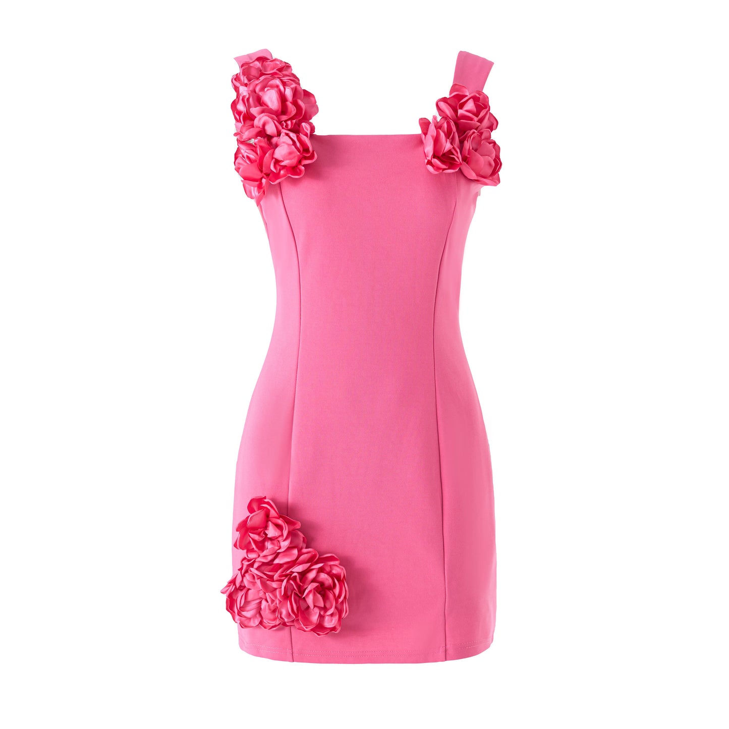 DR804 Fuchsia 3D Floral A-Line Mini Dress: Fuchsia / English / L