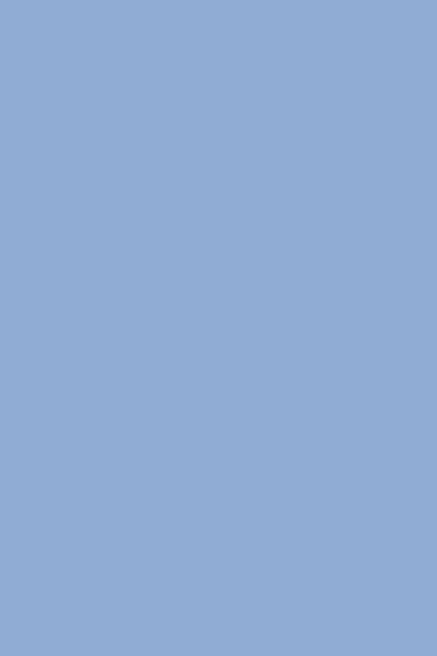 100% Cashmere Pashmina Scarf/Shawl - Classic: Light Blue / One Size