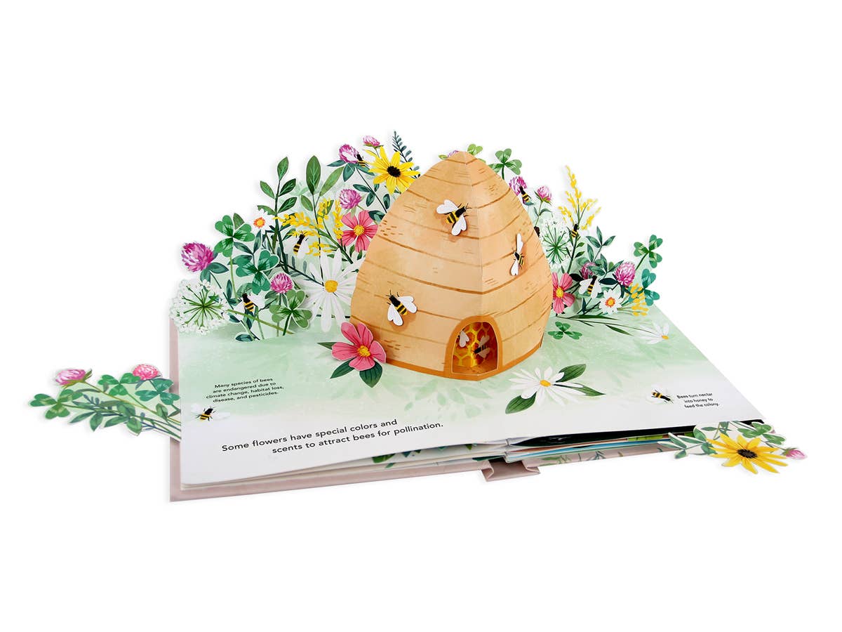 Pop-up Book   |   Flora Botanical