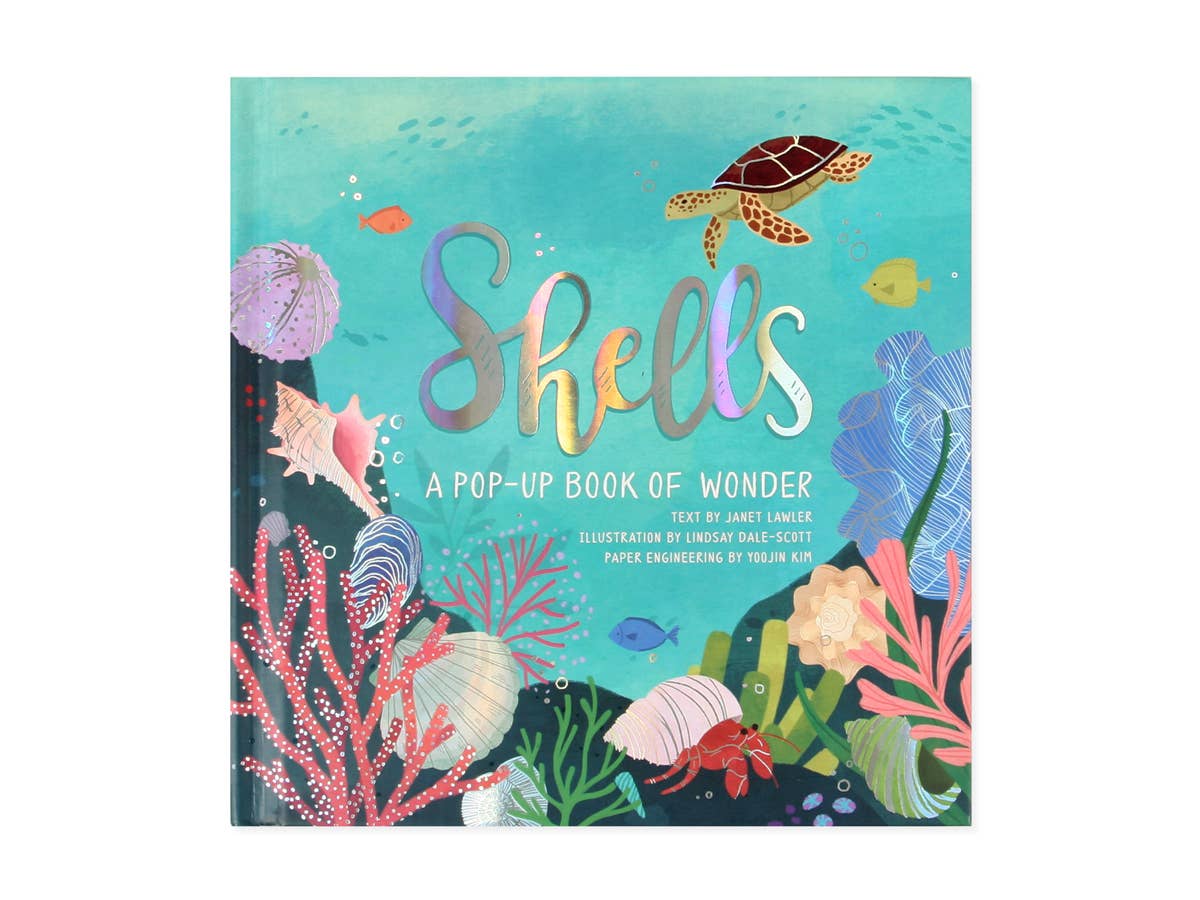 Pop-up Book   |    Shells Of Wonder