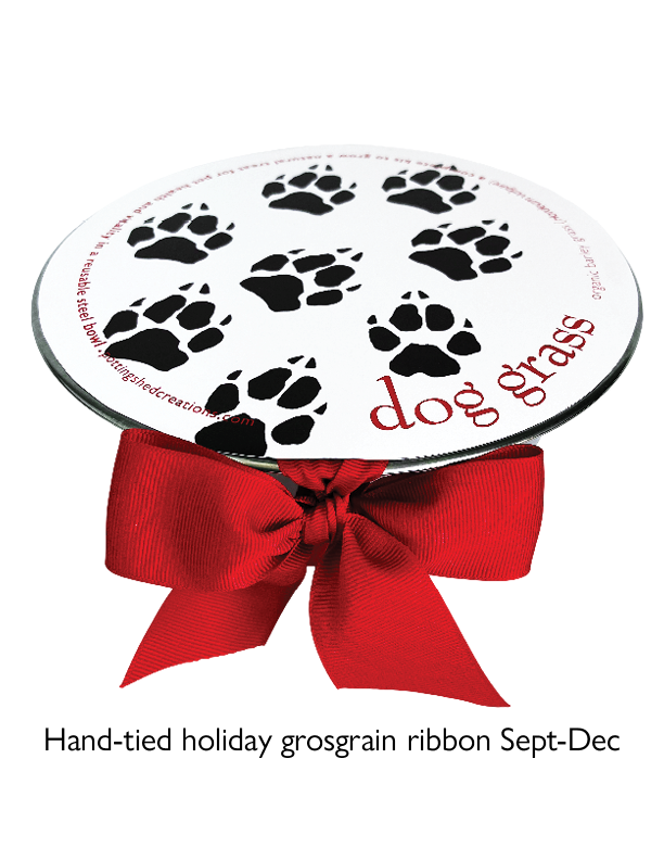 Pet Bowl | Dog Grass | Pet Treat | Dog Gift: Dog Grass