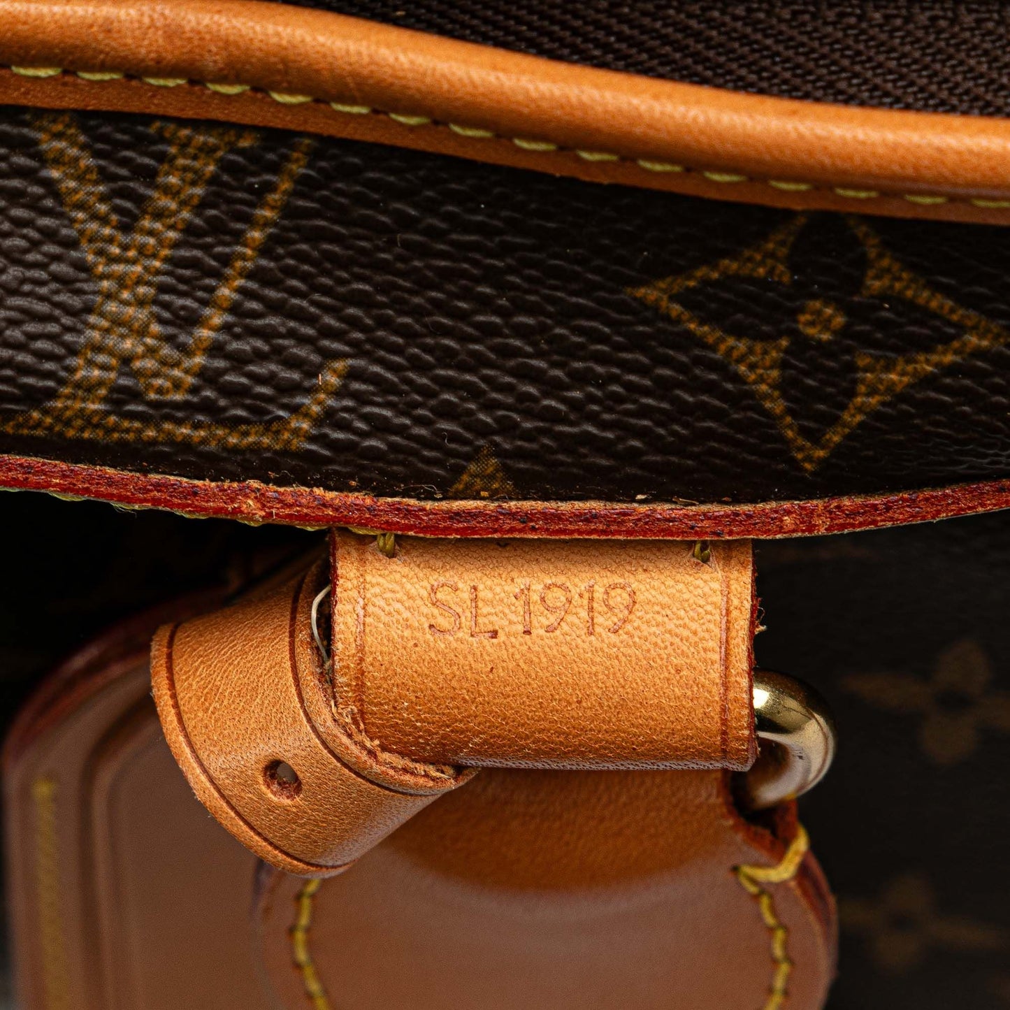 Louis Vuitton   |    Monogram Pet Carrier