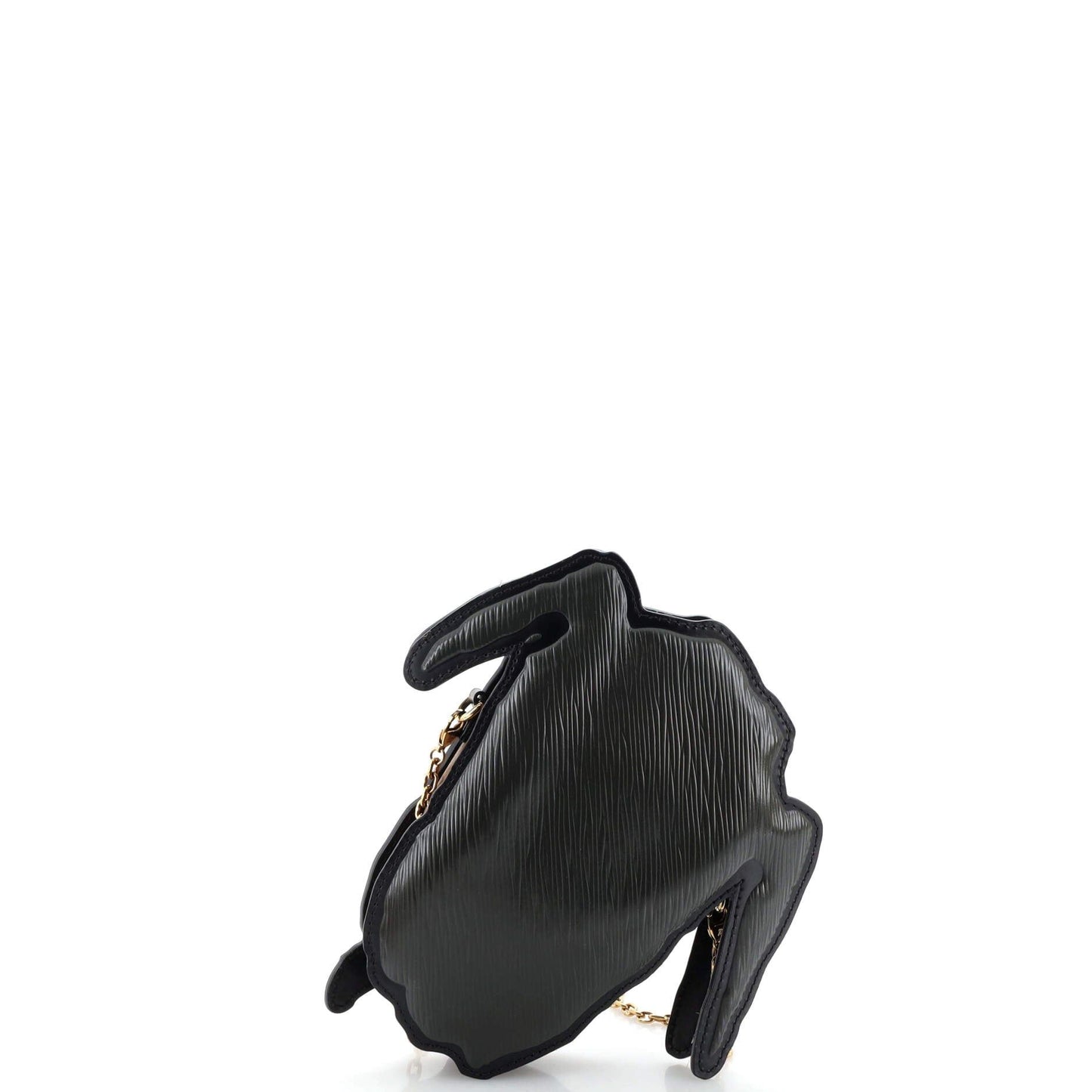 Louis Vuitton   |    Grace Coddington Dog Face