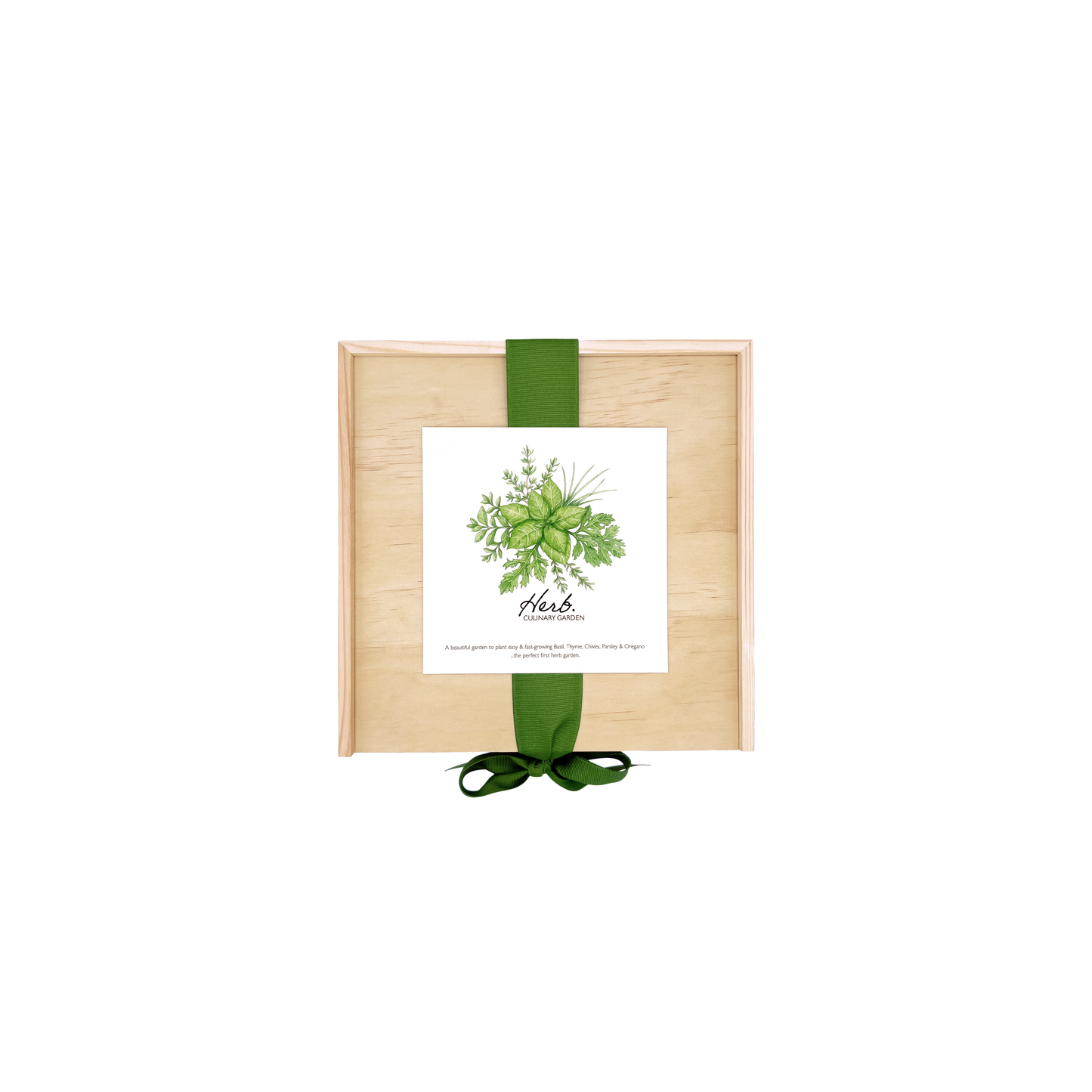 NEW Culinary Herb Garden Box | Holiday Gift for Gardeners