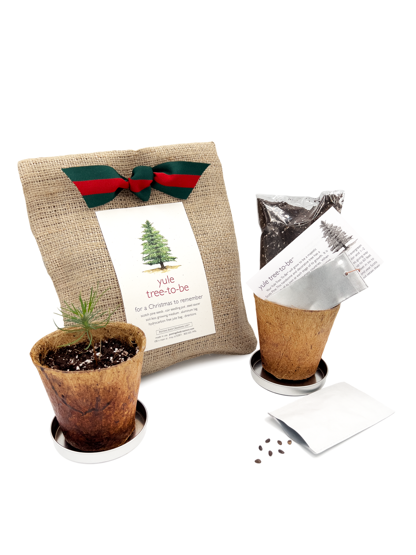 Christmas Tree to Be | Hostess gift | Holiday Parties