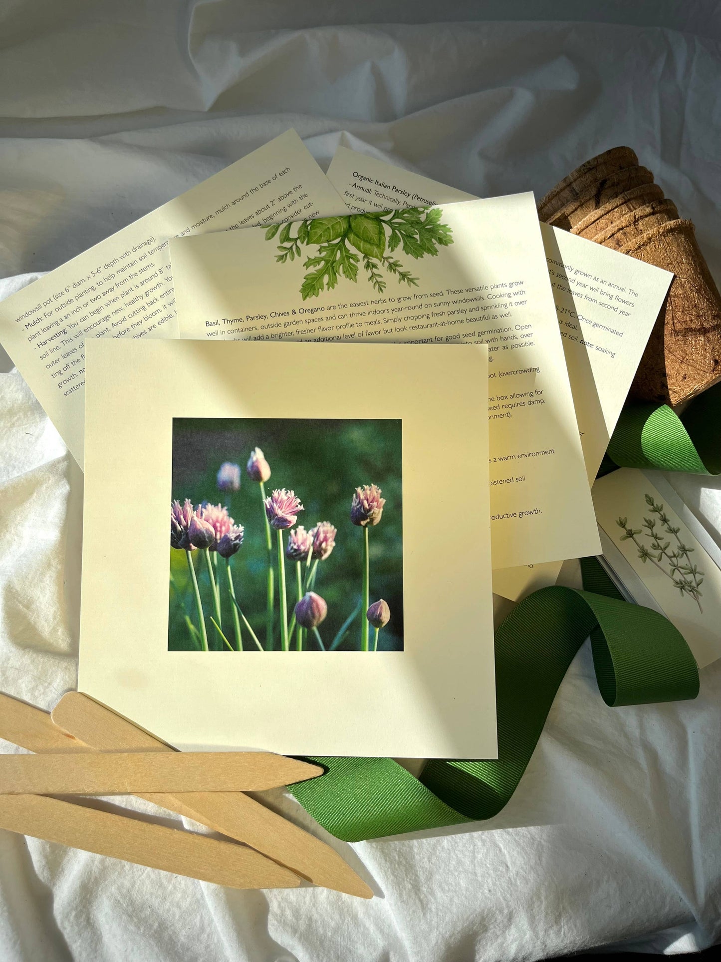 NEW Culinary Herb Garden Box | Holiday Gift for Gardeners