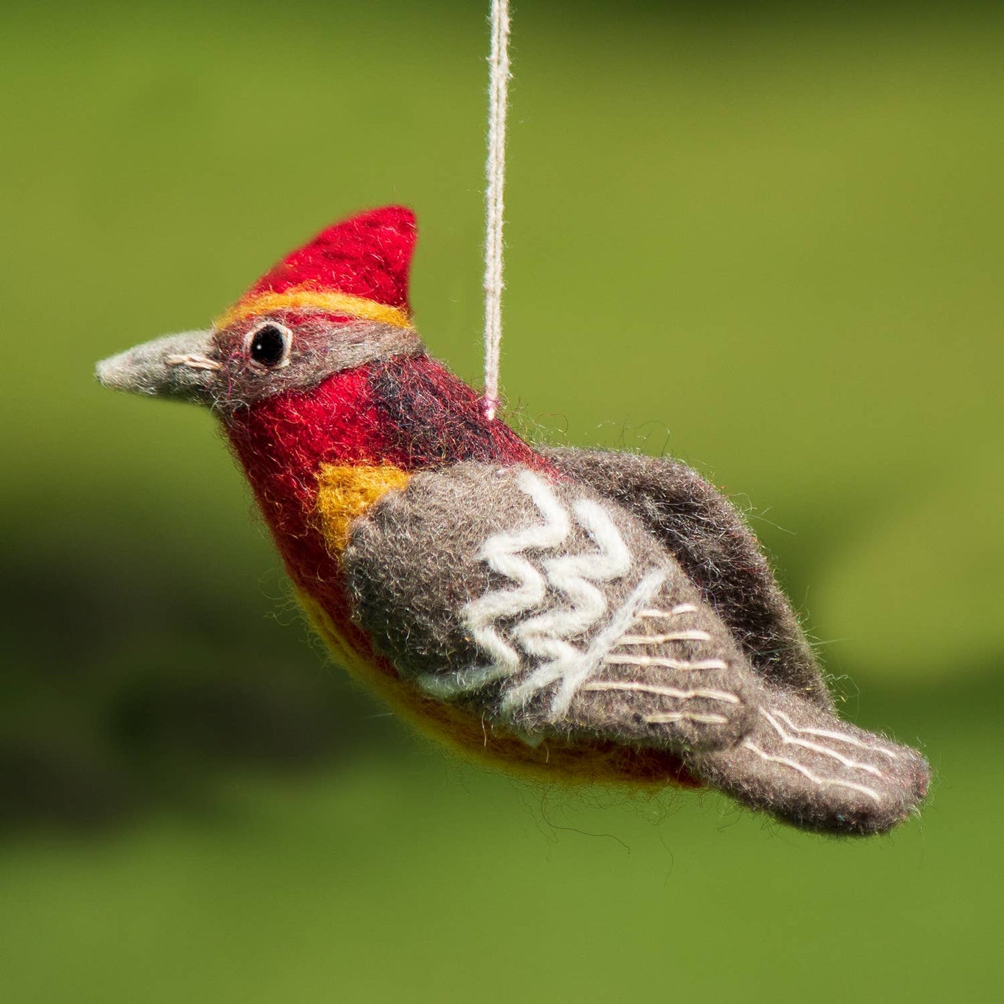 Vermillion Flycatcher Woolie Bird